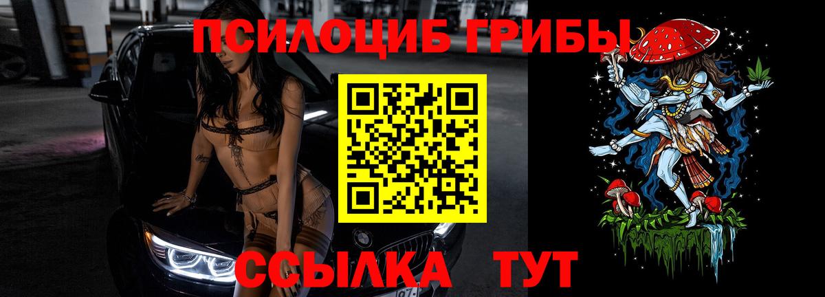 Галлюциногенные грибы Psilocybine cubensis Алатырь